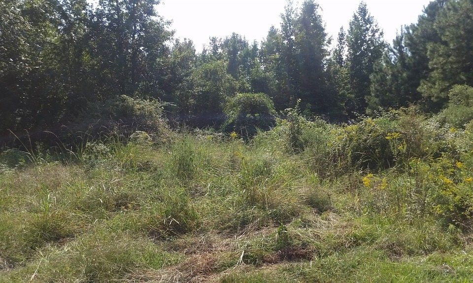 2nd image of 7139 Nimmer Rd