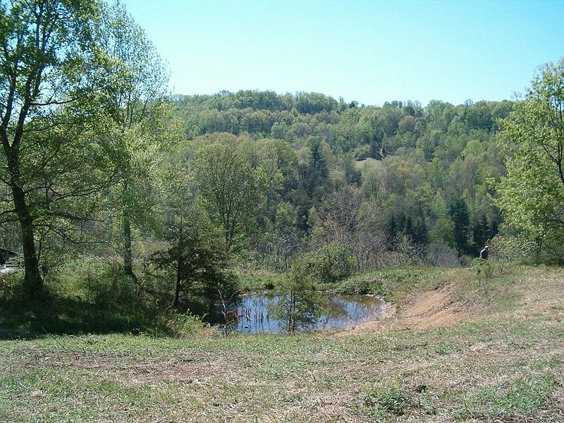 1463 Otterlick Rd A, Ivydale, WV 25113 Zillow