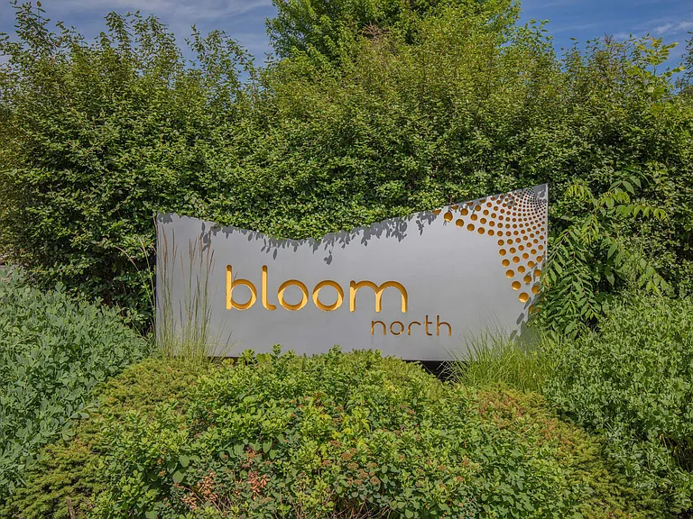 Bloom Apartments — Photo 21