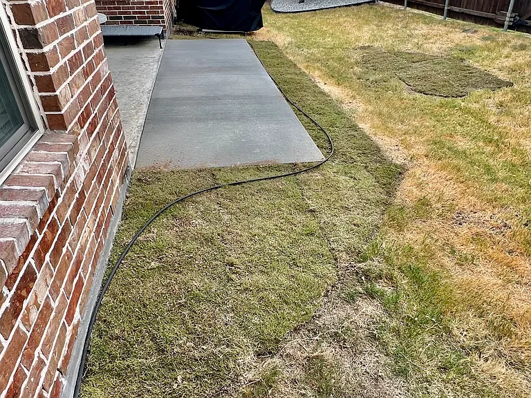 Backyard with extended patio