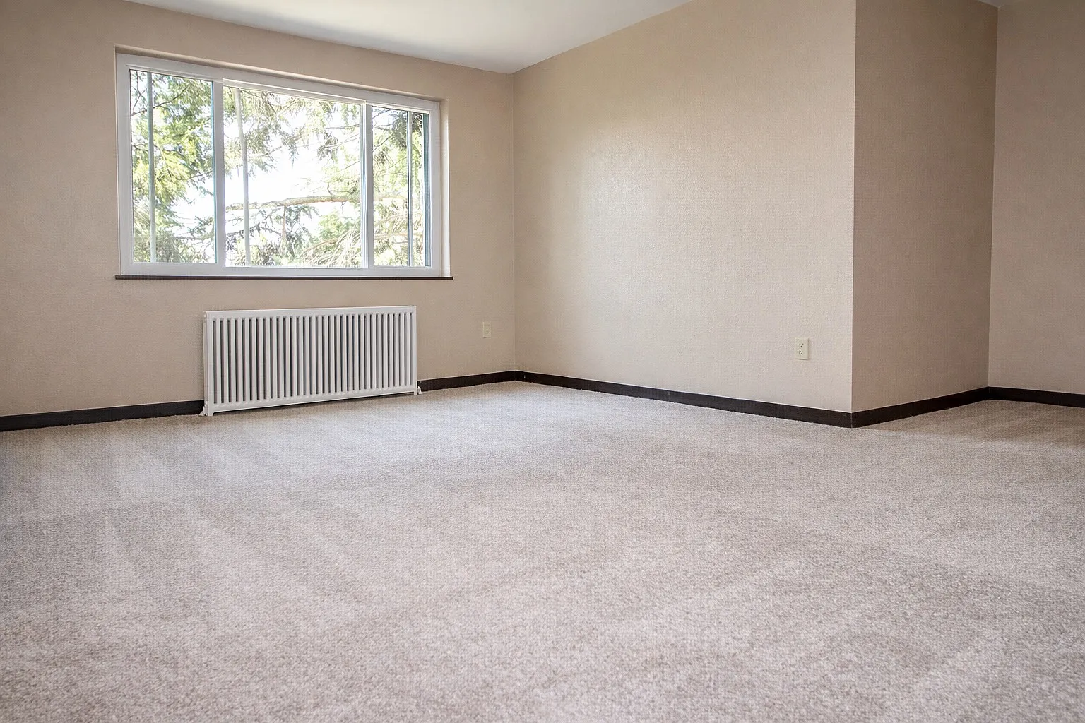 1 bed, $1,013 — Photo 3