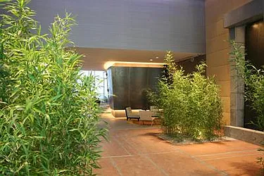 Rented by Bid on the City