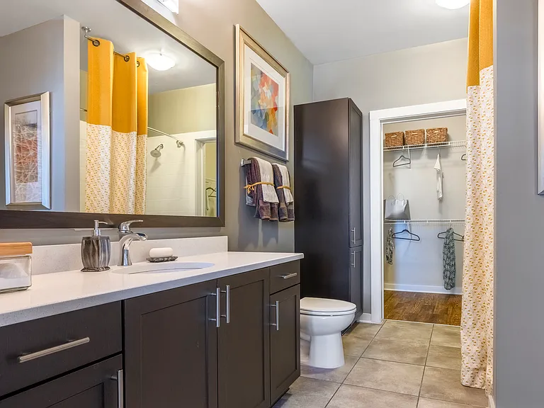 Bathroom and walk-in closet