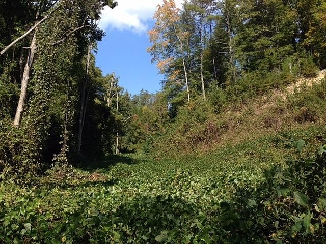 2nd image of Spurgeon Hollow Rd