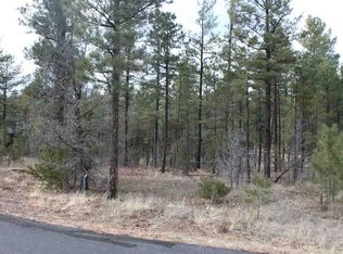 4020 Ninebark Ln, SHOW LOW, AZ 85901