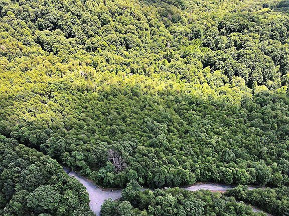 4th image of TRACT 25 Chilhowee Mountain Trl
