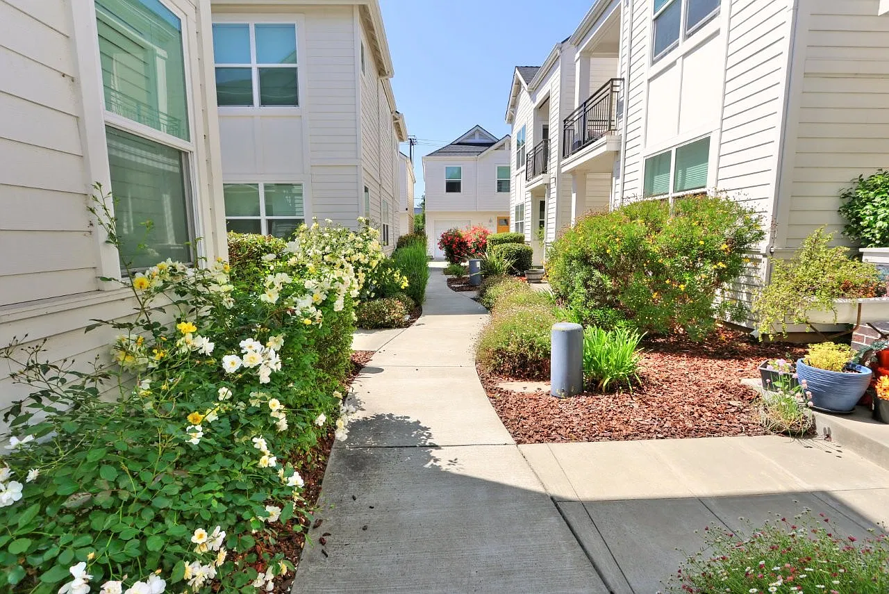3 bed, 2.5 bath, 1268 sqft, $2,850 — Photo 2