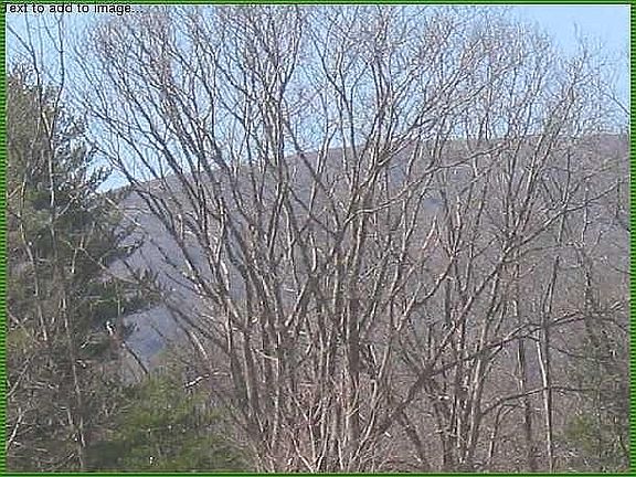 2nd image of 145 Route 32a