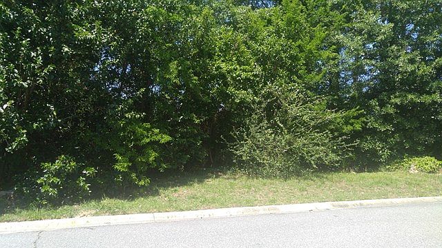 1st image of 1447 Westminister Dr
