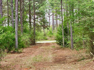 0 E County Road 22 Rd, Headland, AL, 36345