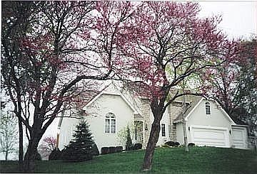 Home repainted last year.