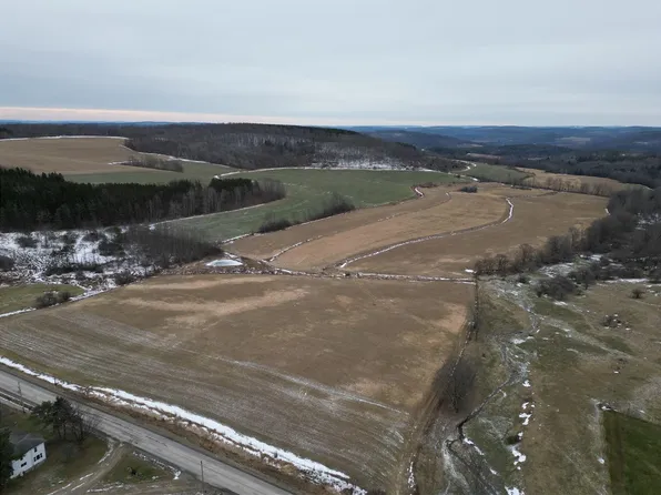 1300 County Route 82 Lot 15, Troupsburg, NY 14885