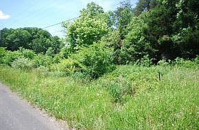 2nd image of 0 Ap Carter Hwy