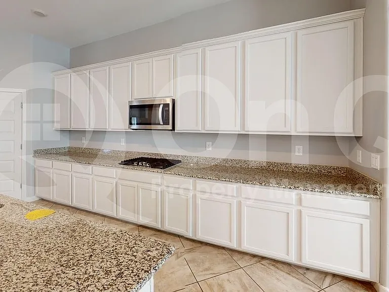 9971 N Cardon Grande Trl — Photo 3