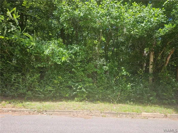 0 Northwood Lake Dr E, Northport, AL 35473