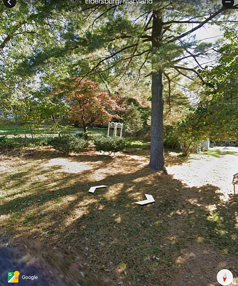 Margin Ave — Photo 3