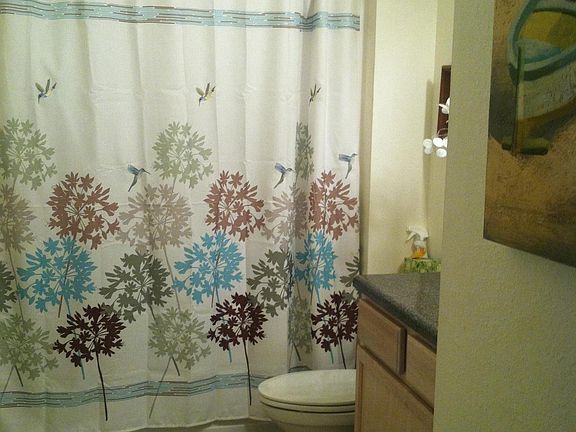 Guest bathroom 