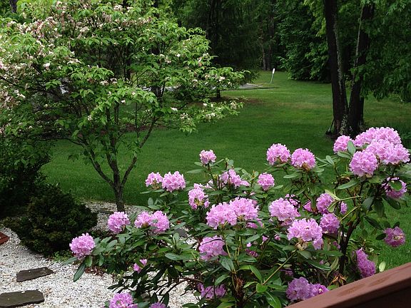 Deck View