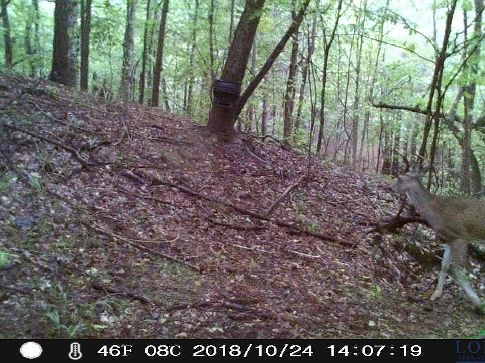 1st image of Tbd Cr 3198