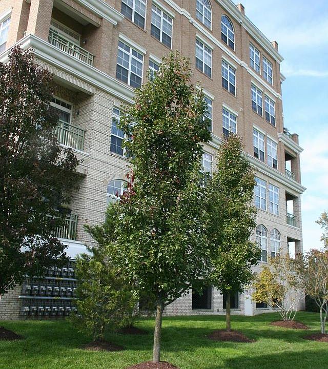 1st image of 830 Belmont Bay Dr APT 106