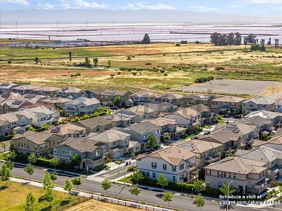 Brand new community, vibrant neighborhood