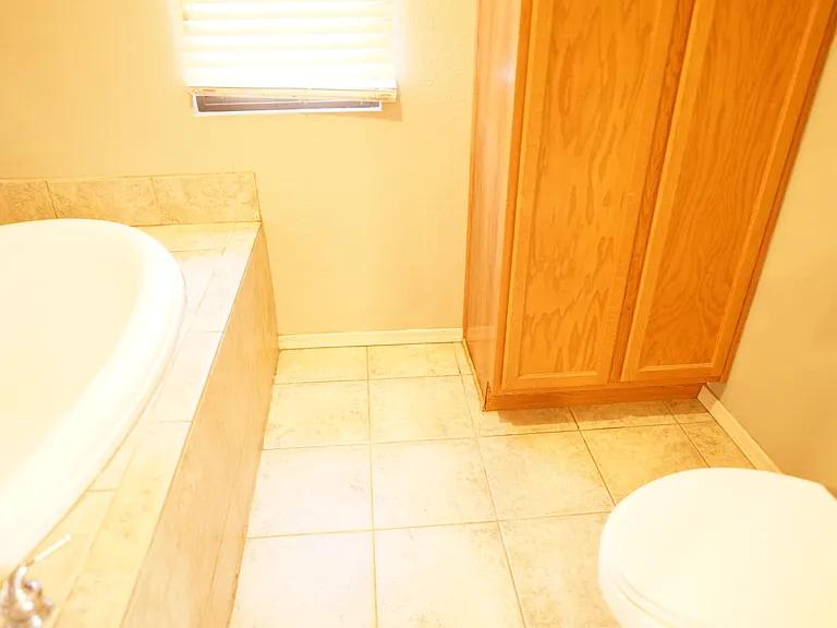 master bath tub and shower