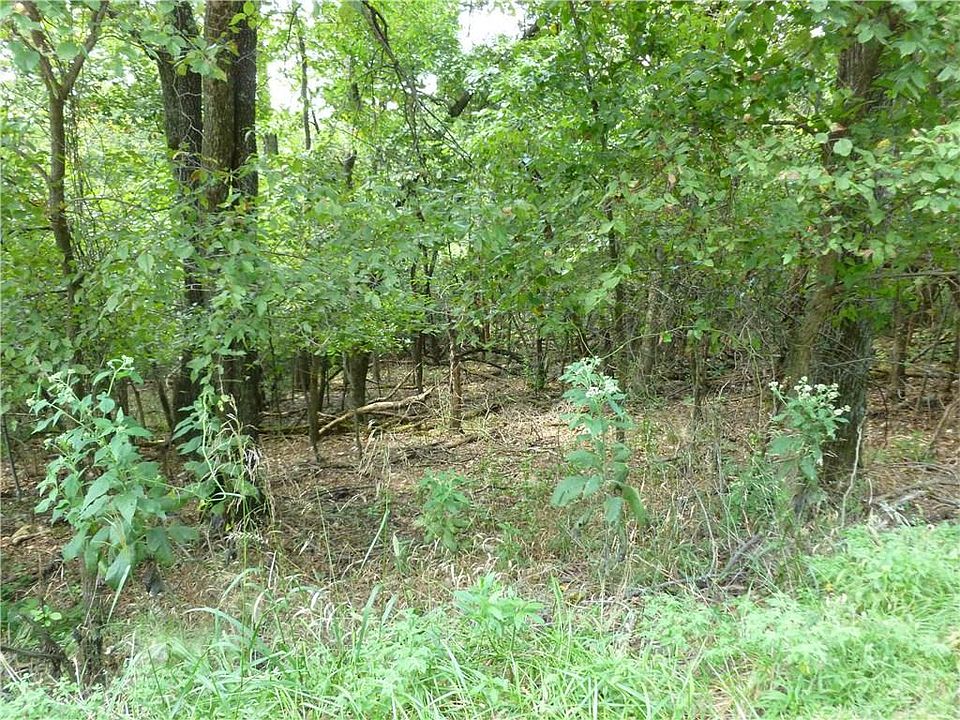 2nd image of 11435 Oak Leaf Cir