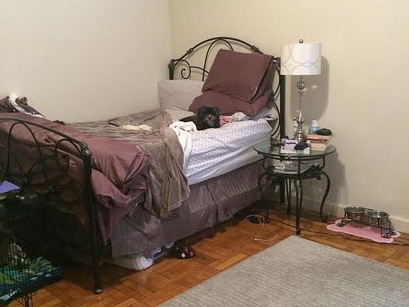 5th image of 2111 Beekman Pl APT 1G