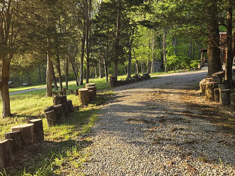 Gravel driveway to Cabin surrounded by trees on nearly 3 acres