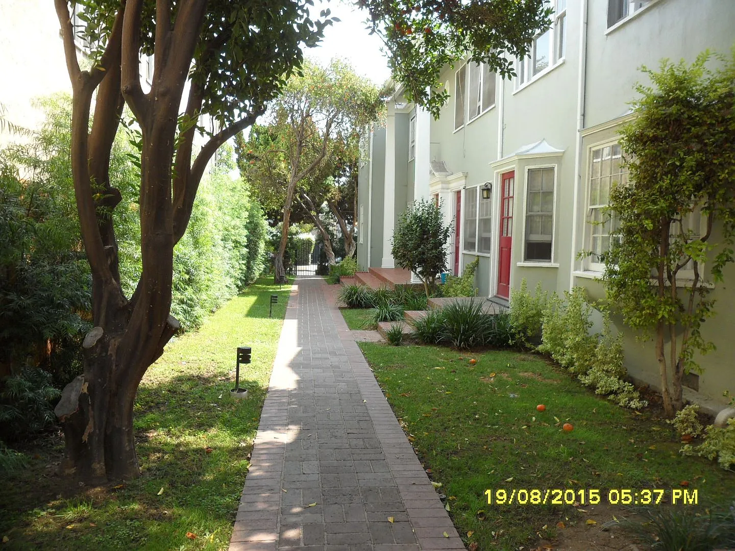 Harold — Photo 2