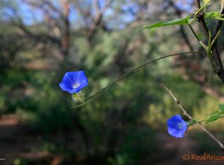 24 Camino Marina, Tubac, AZ 85646