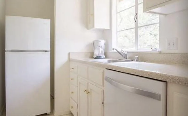 Kitchen sink, dishwasher, refrigerator overlooking backyard