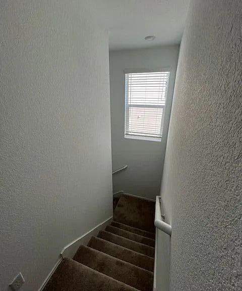 484 Marty Allen Loop — Photo 7