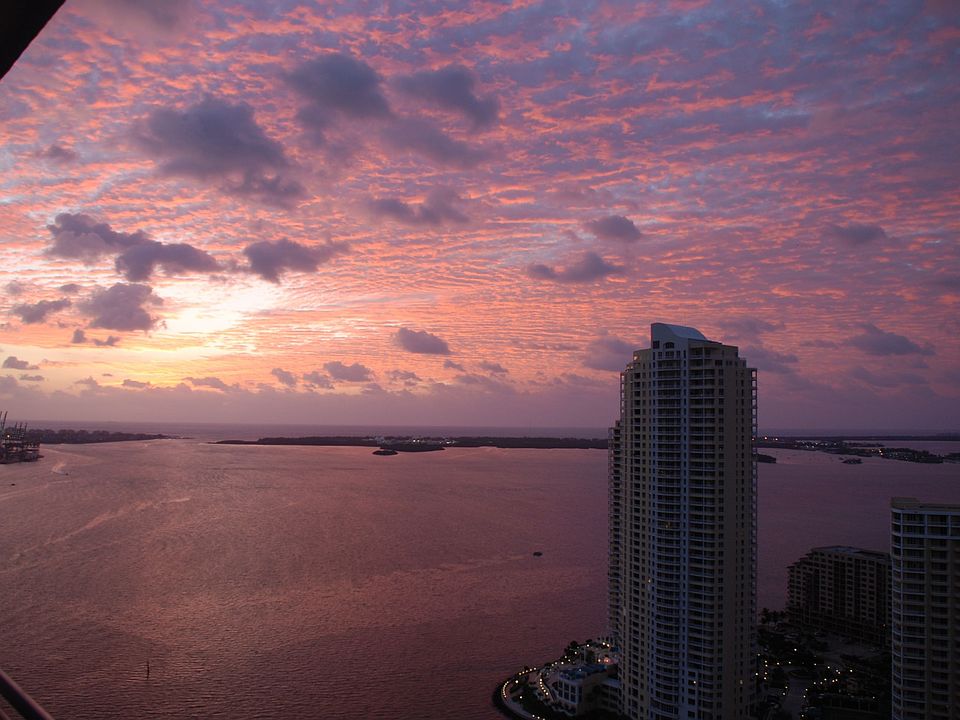 Morning View