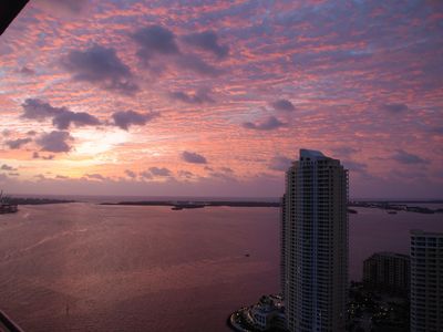 335 Biscayne Blvd #4005, Miami, FL, 33131