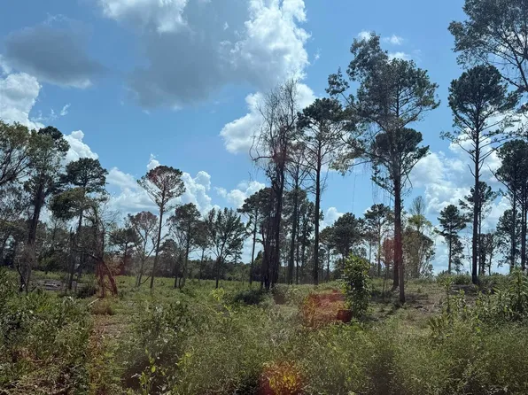 34 County Road 158, Centre, AL 35960