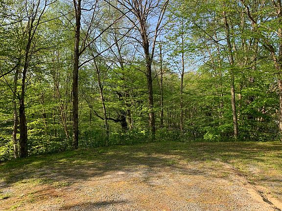 2nd image of 237 Mossy Creek Ln