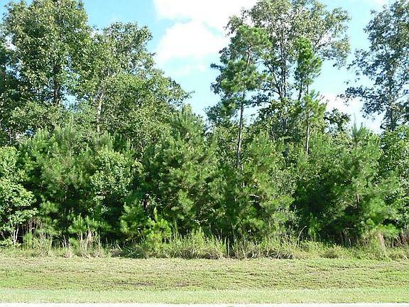3rd image of 28627 Misty Lagoon Cir
