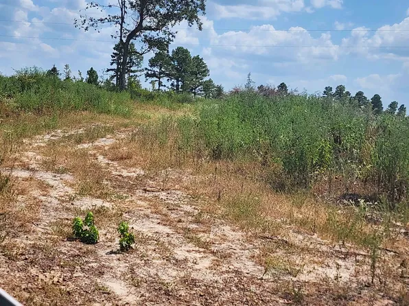 2 County Road 1762, Jefferson, TX 75657
