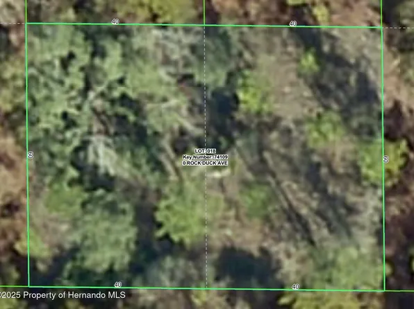 0 Rock Duck Ave, Brooksville, FL 34614