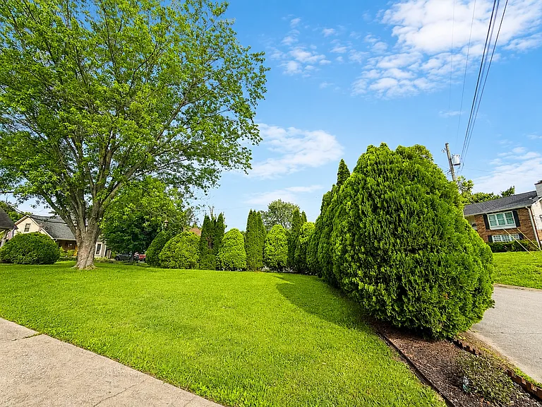 1004 Dandelion Dr — Photo 3