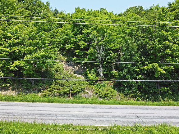 5th image of 19 Turtle Ln