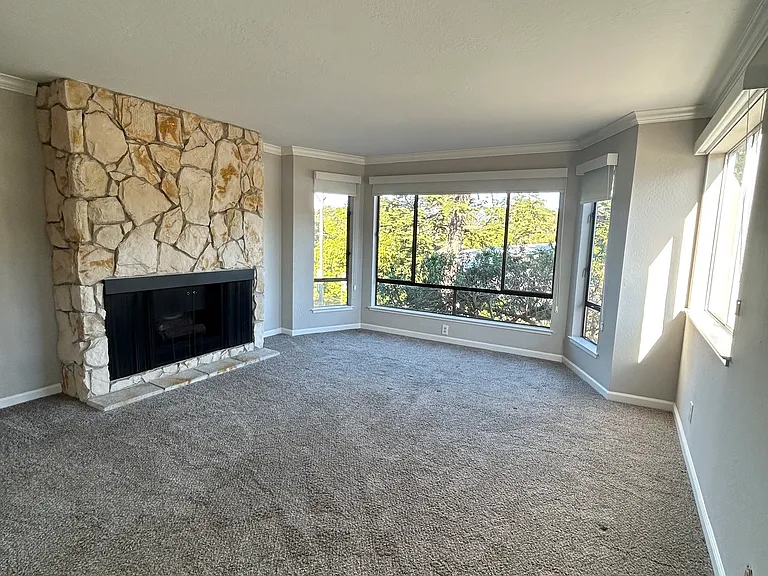 Living room featuring working gas fireplace
