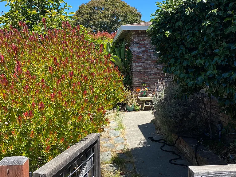 1260 Susan Ln — Photo 13