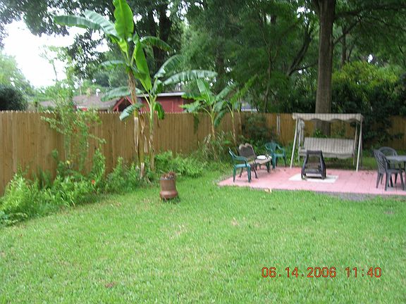 exotic backyard