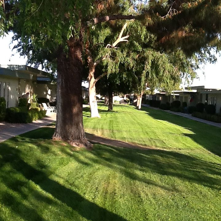 1st image of 13057 N 100th Dr