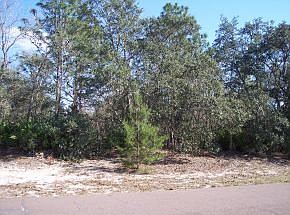 4th image of 3421 W Promontory Dr
