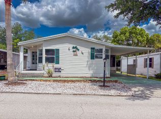 3510 Petticoat Jct, Valrico, FL 33594