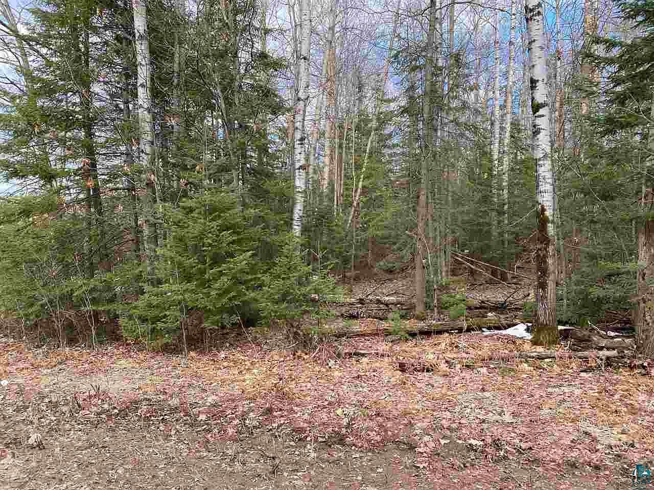 6710 S County Road F, Lake Nebagamon, WI 54849 Zillow