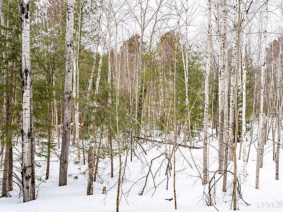 5th image of Tbd S Willow Rd